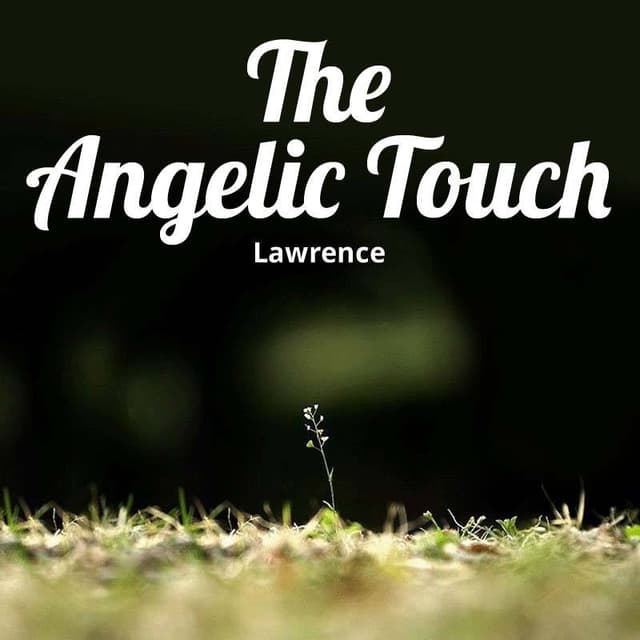 Cover of The Angelic Touch