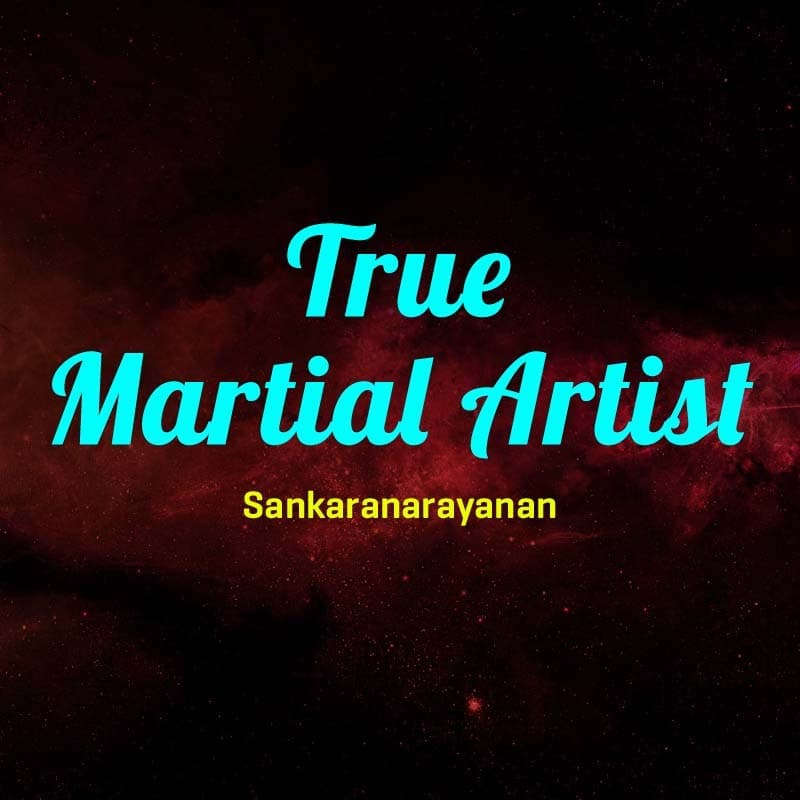 True Martial Artist