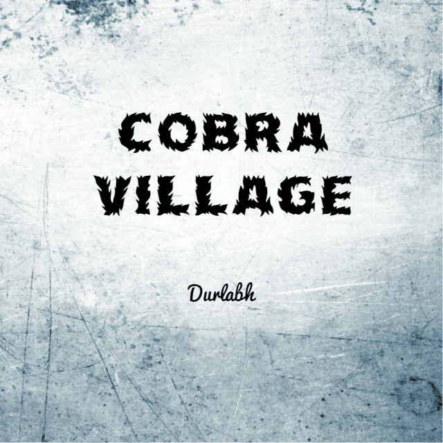 Cover of Cobra Village