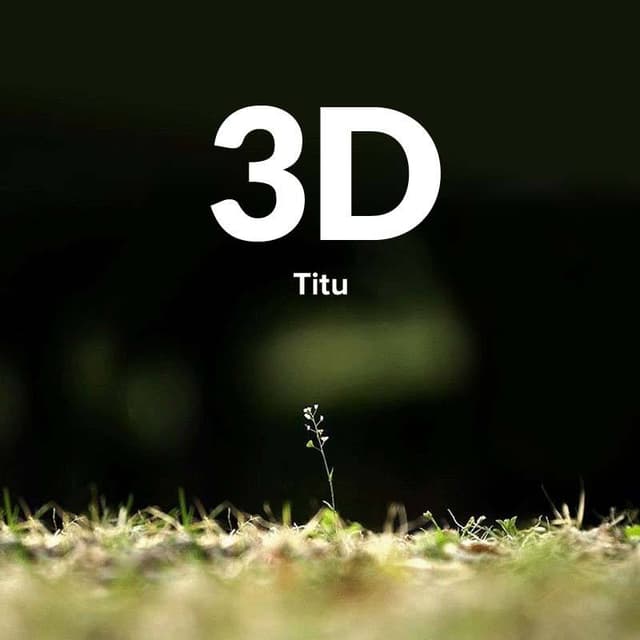 Cover of 3D