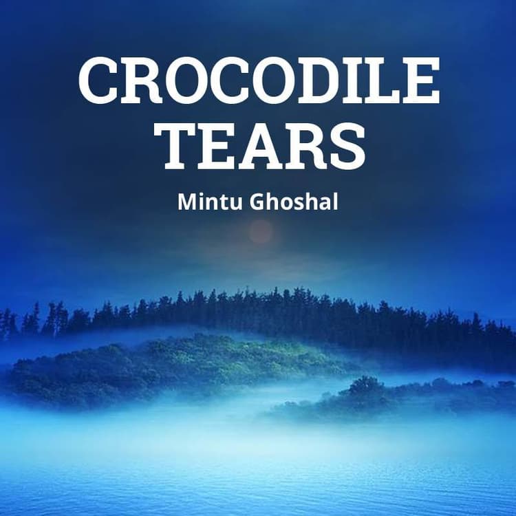 Story Cover Image
