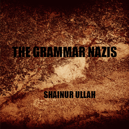 Cover of THE GRAMMAR NAZIS