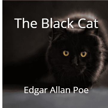 The Black Cat