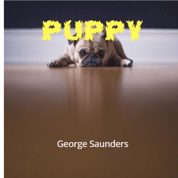 Story Cover Image
