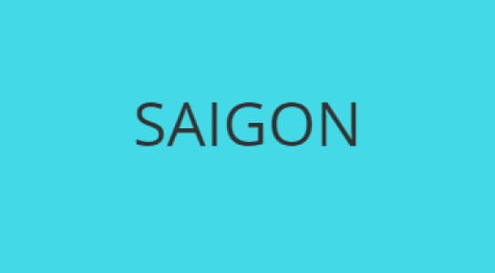 Cover of SAIGON