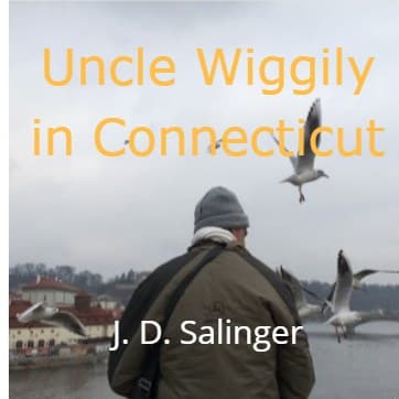 Uncle Wiggily in Connecticut