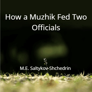 Story Cover Image