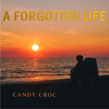 Cover of A forgotten life.