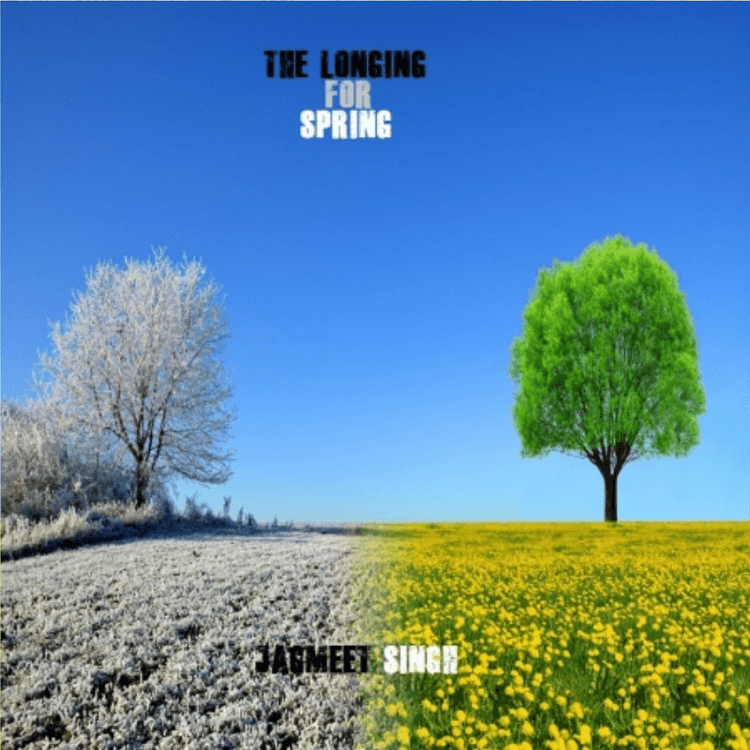 Story Cover Image