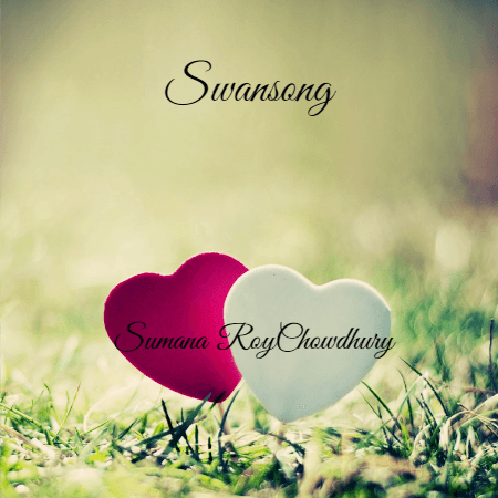 Story Cover Image