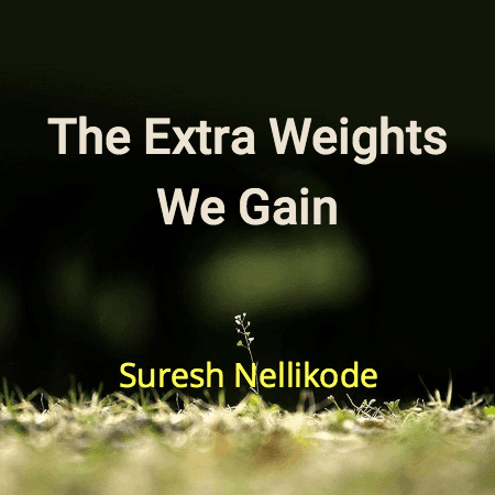 Story Cover Image