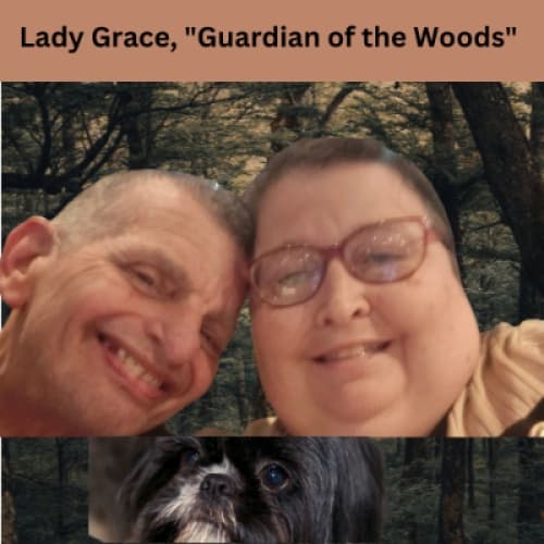 Story Cover Image