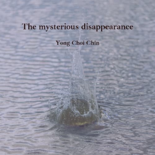 Story Cover Image