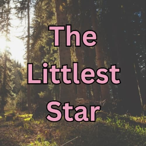 Cover of The Littlest Star