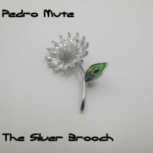 The Silver Brooch