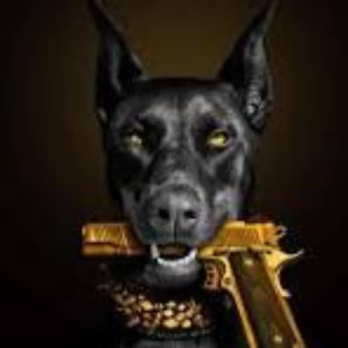 Story Cover Image