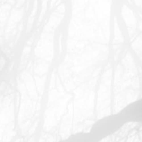 Story Cover Image