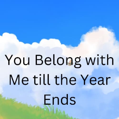 Cover of You Belong with Me till the Year Ends
