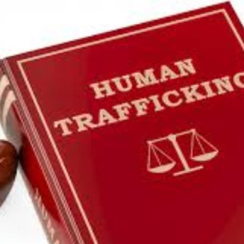 Human Trafficking Afterlife (The truth)