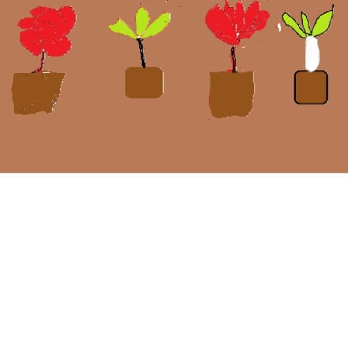 Story Cover Image
