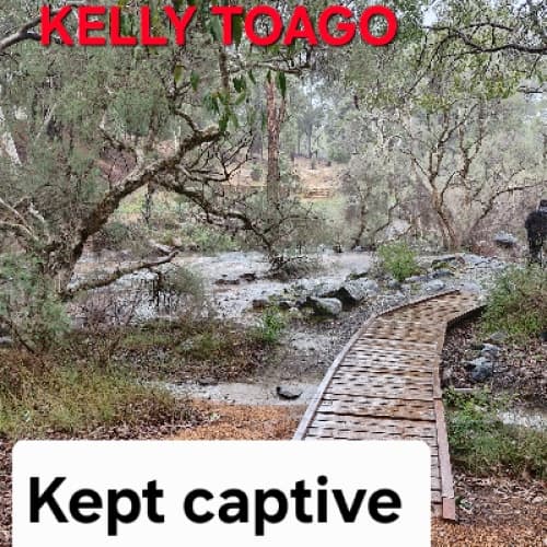 Cover of Kept captive