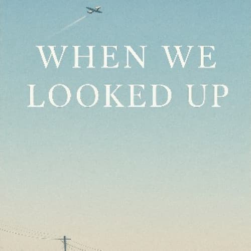 When We Looked Up