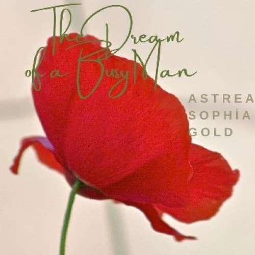 Cover of The Dream of a Busy Man