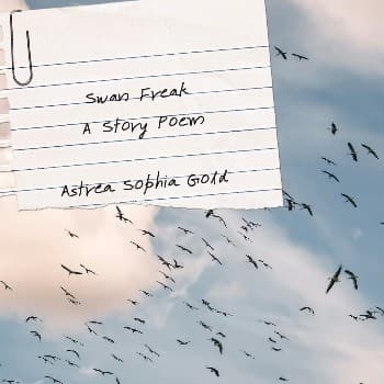 Story Cover Image