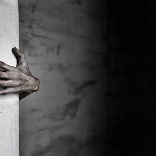 Cover of It creeps through the walls.