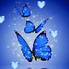 Bushra Hanif