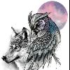 owlovertheworld88