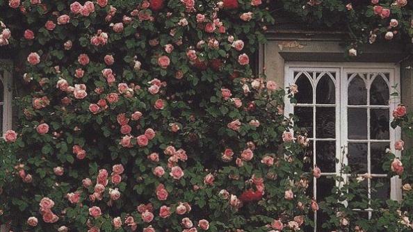Cover Photo