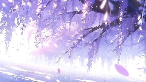 Cover Photo