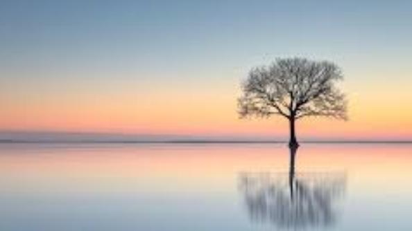 Cover Photo