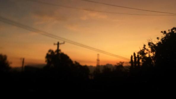 Cover Photo