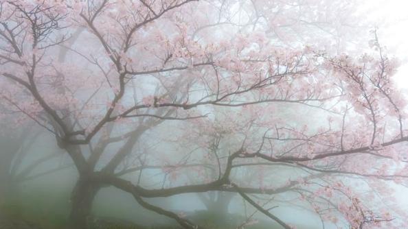 serenity