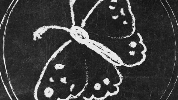 Cover Photo