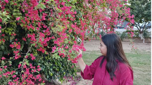 Cover Photo