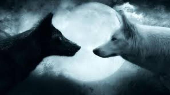 MoonLight