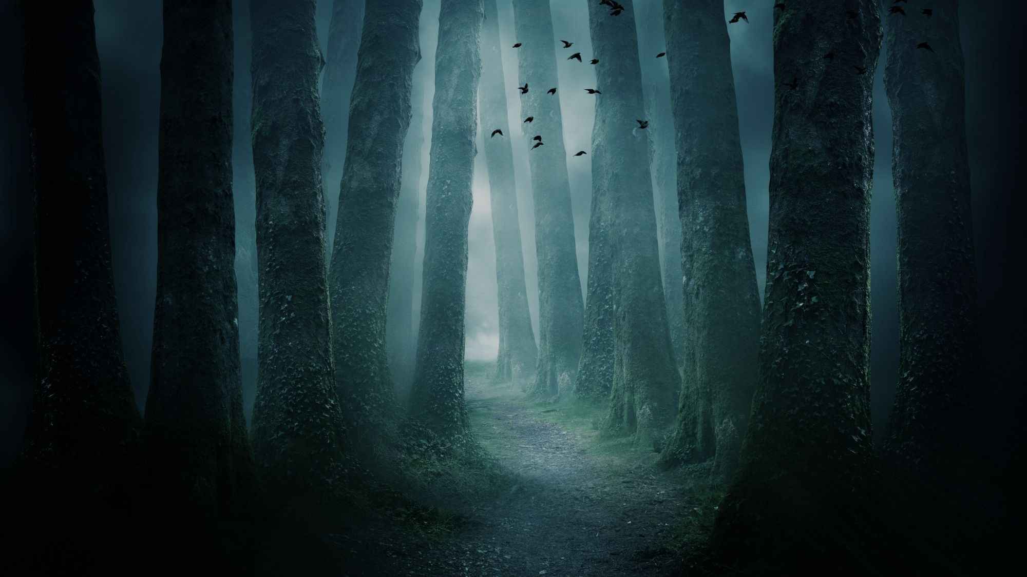 Martin Smith