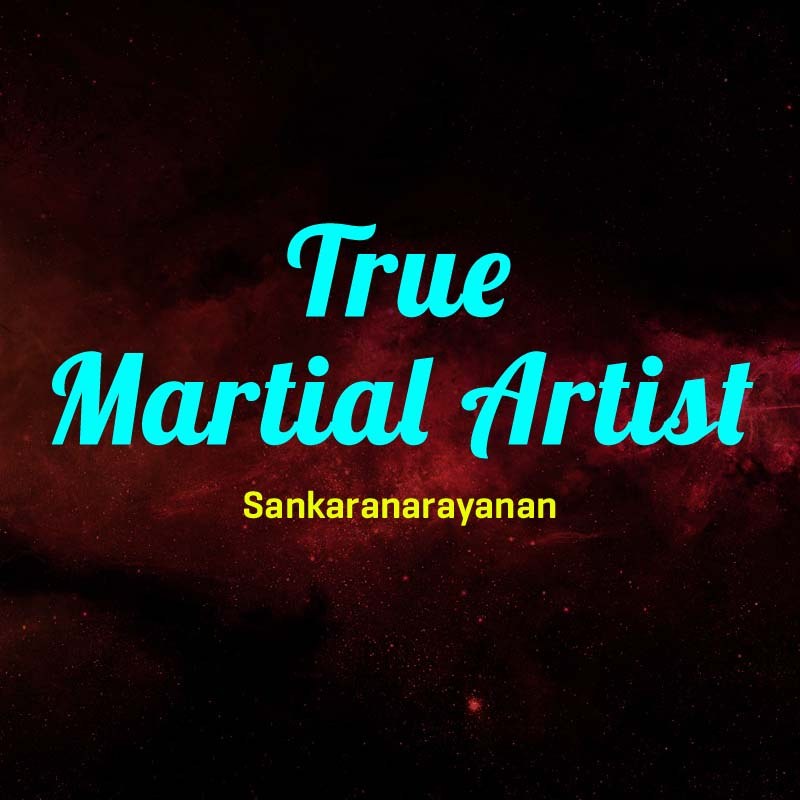 True Martial Artist 