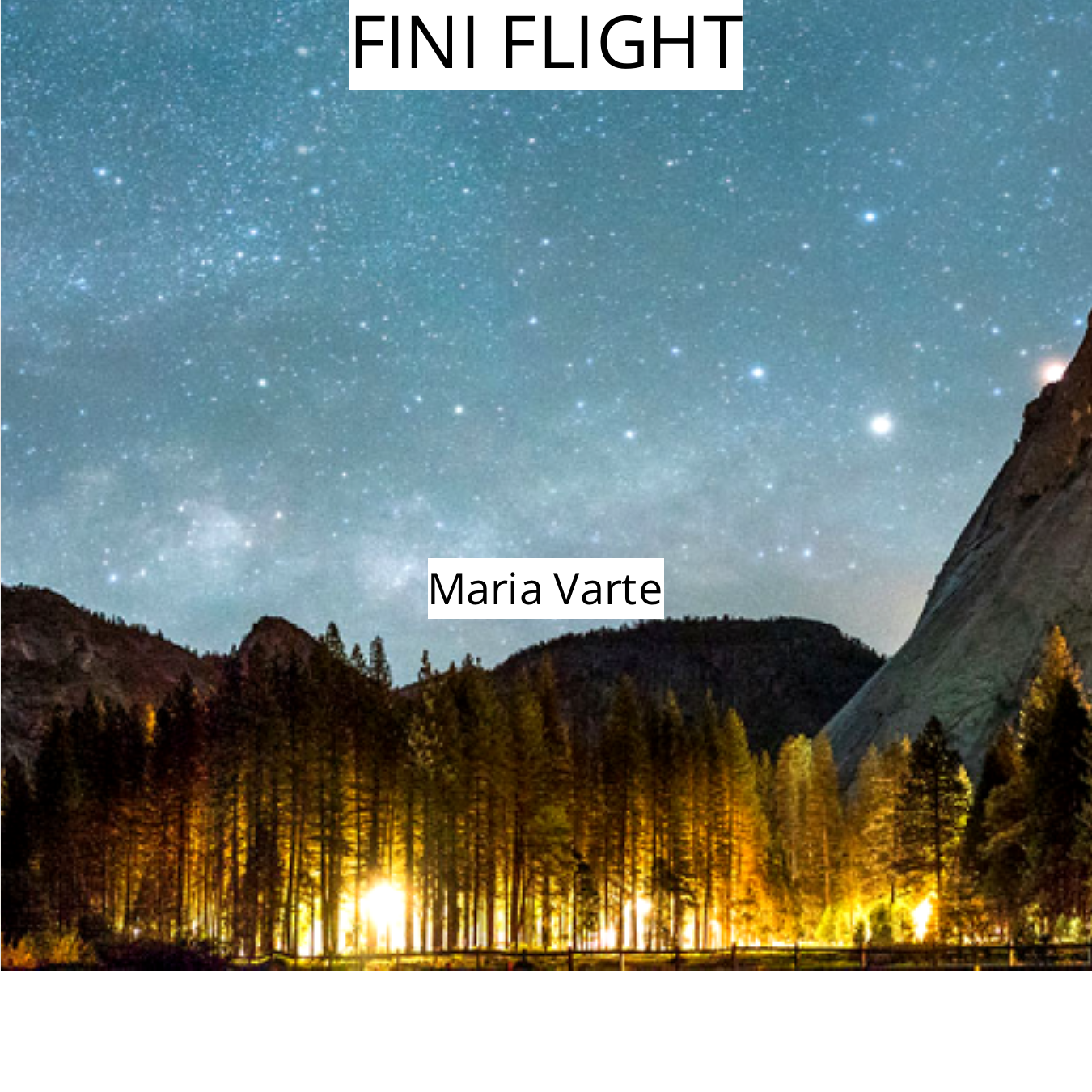 FINI FLIGHT 