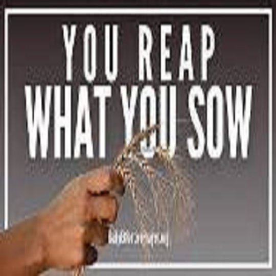 YOU REAP WHAT YOU SOW