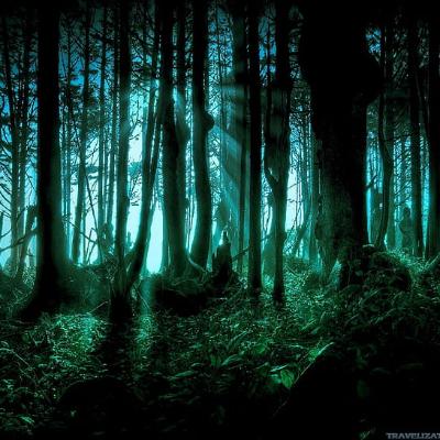 HORROR JUNGLE