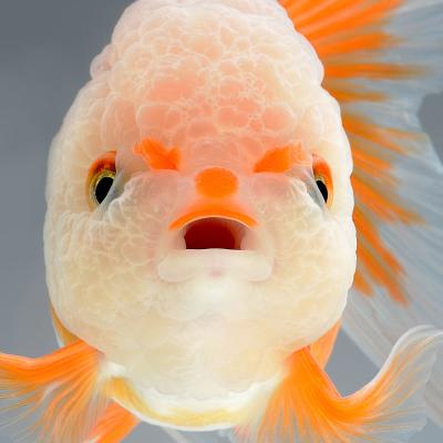 A powerfull fish