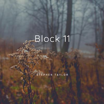 Block 11