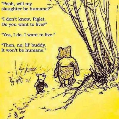 The Unfinished story
