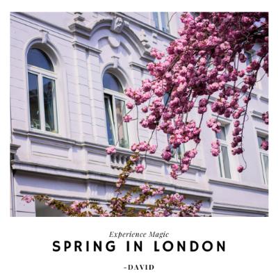 Spring in London: Experience Magic