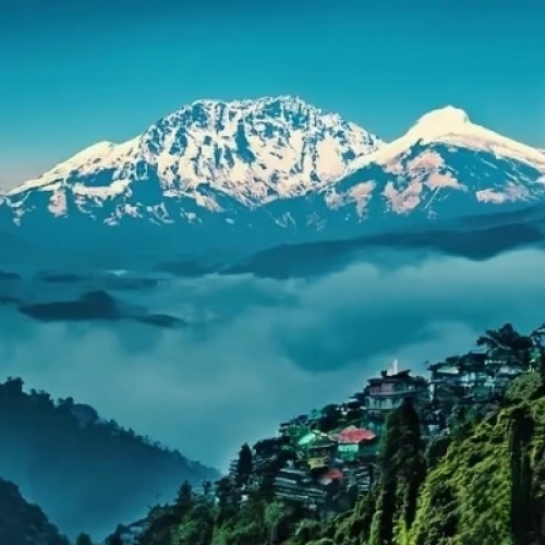  Darjeeling       