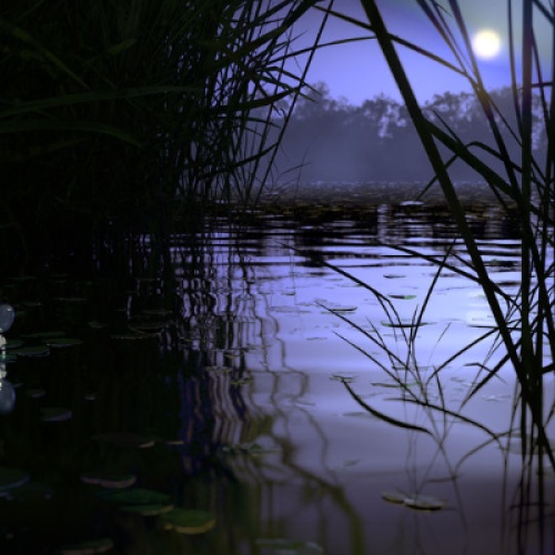 The serene backwaters
